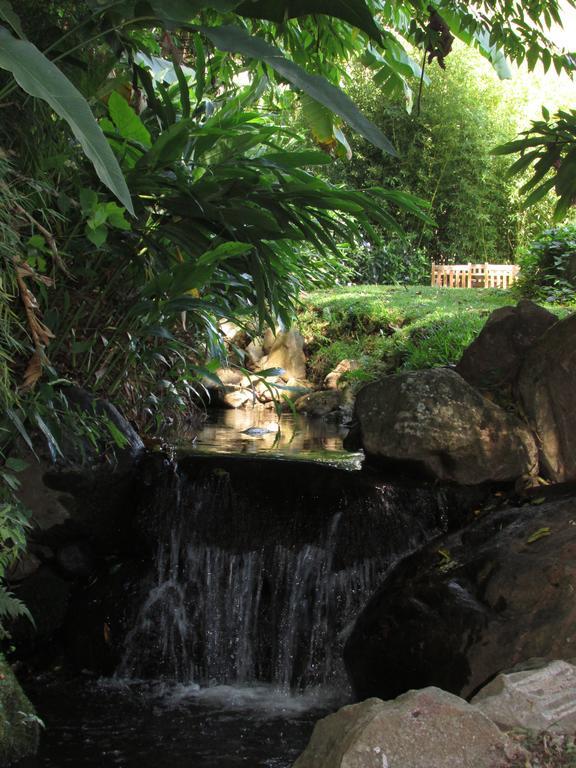 The Haven - Hotel & Spa, - Adults Only Boquete Buitenkant foto