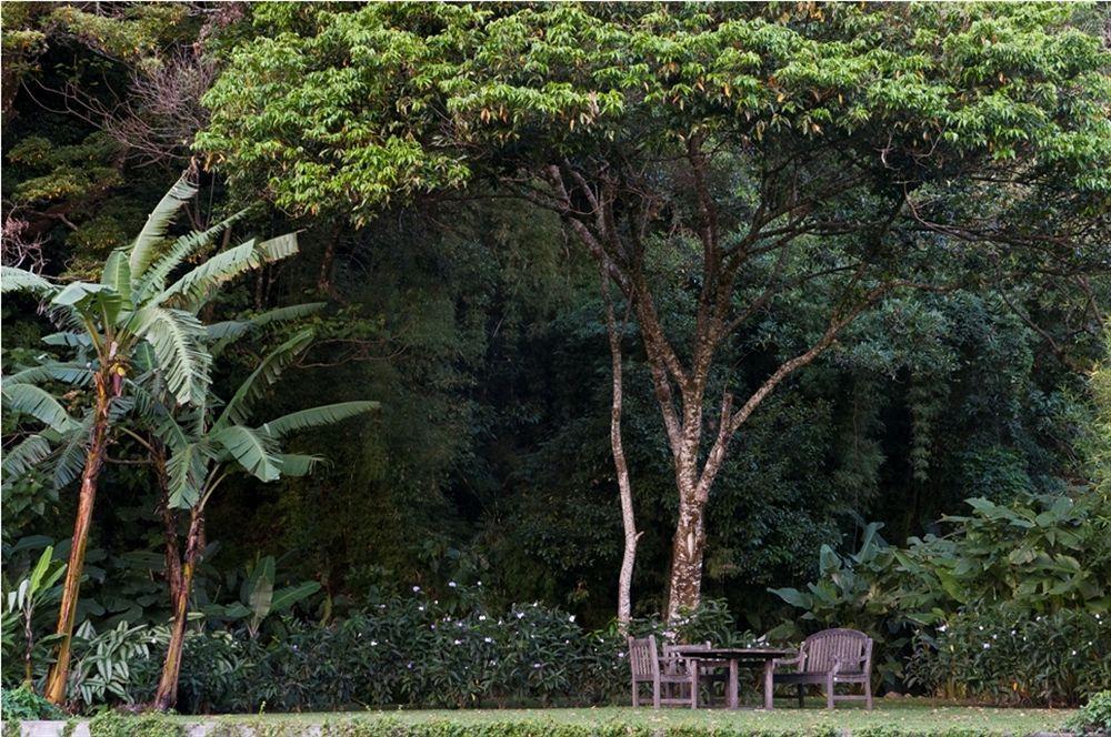 The Haven - Hotel & Spa, - Adults Only Boquete Buitenkant foto