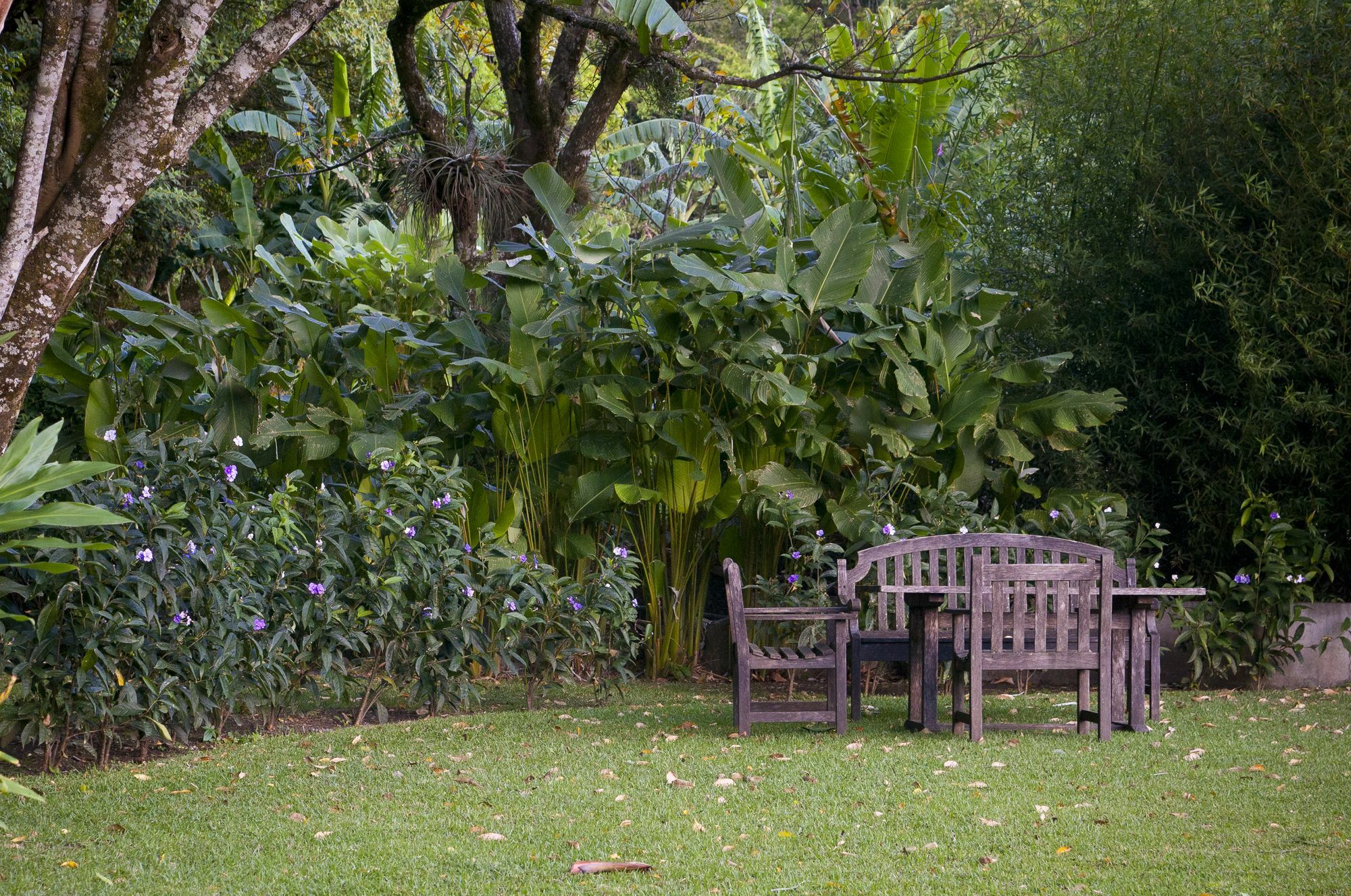 The Haven - Hotel & Spa, - Adults Only Boquete Buitenkant foto