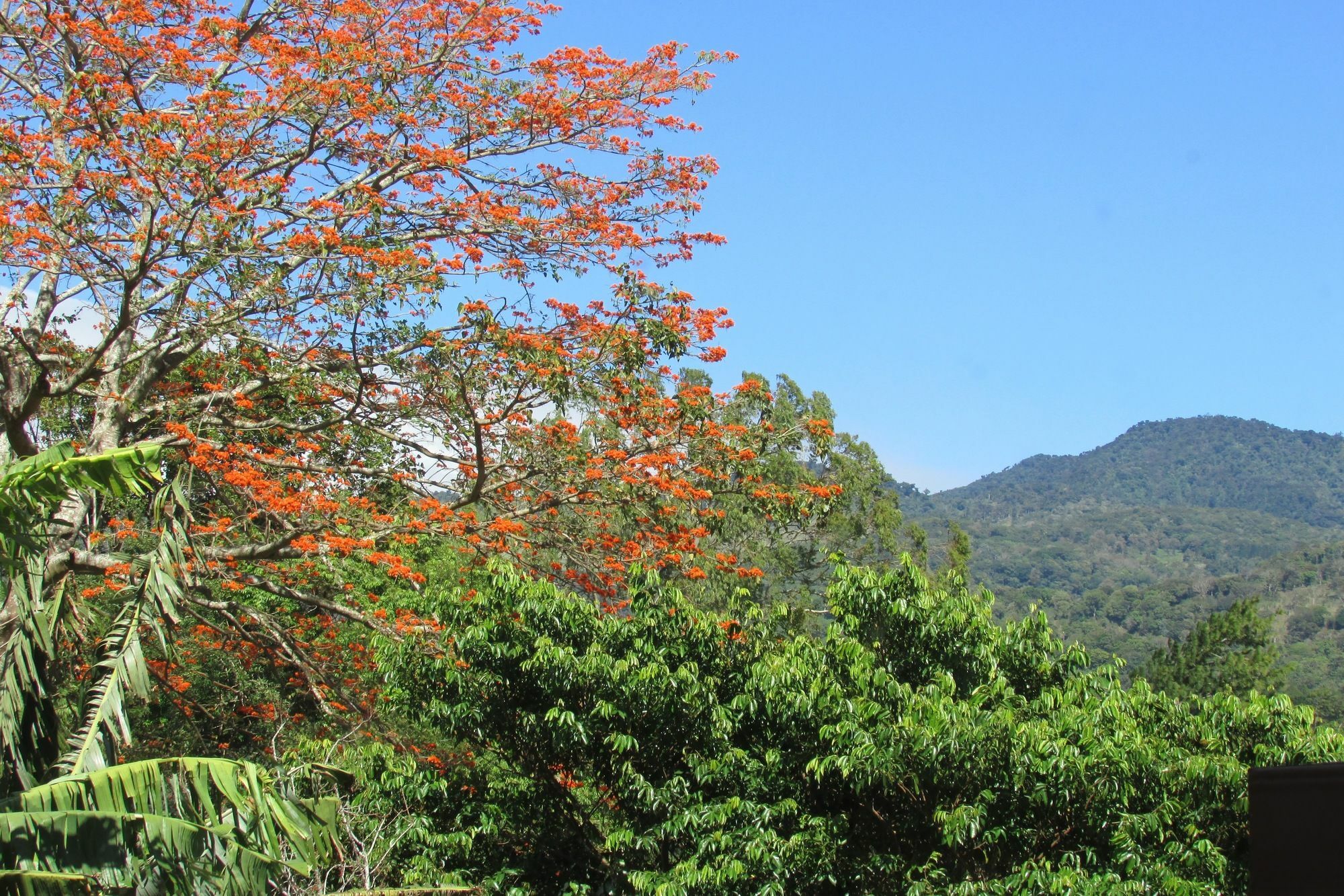 The Haven - Hotel & Spa, - Adults Only Boquete Buitenkant foto
