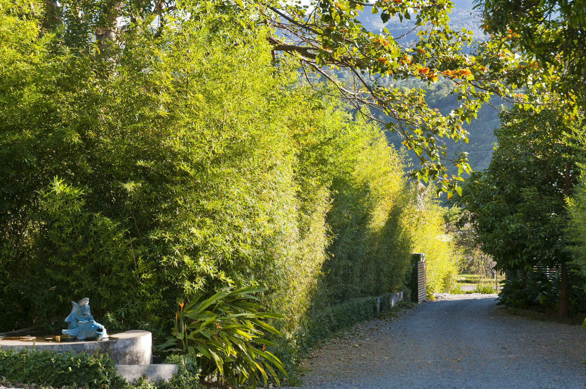 The Haven - Hotel & Spa, - Adults Only Boquete Buitenkant foto